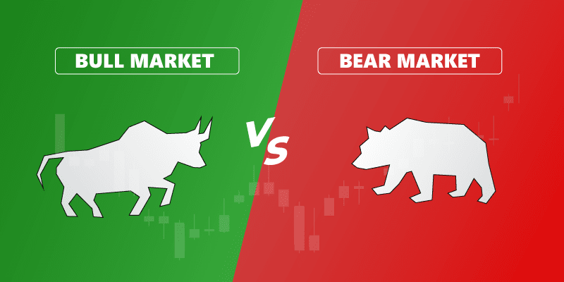 bull vs bear market